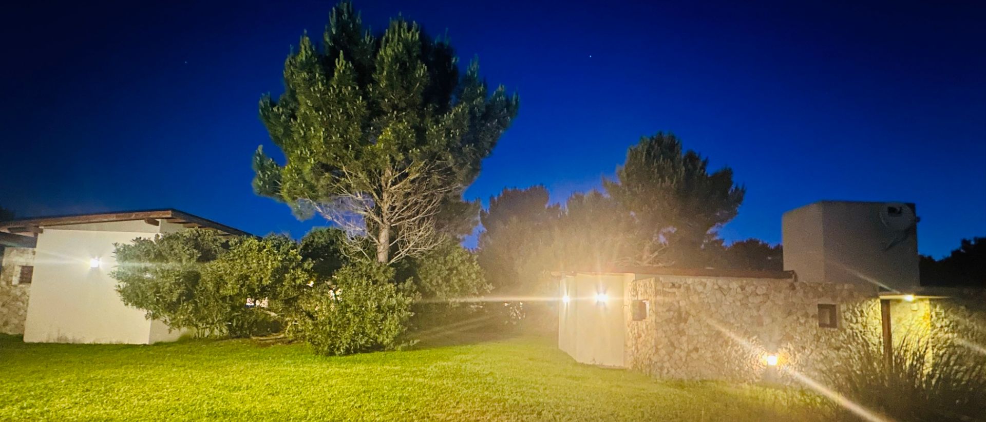 El predio de noche, con los pinos iluminados