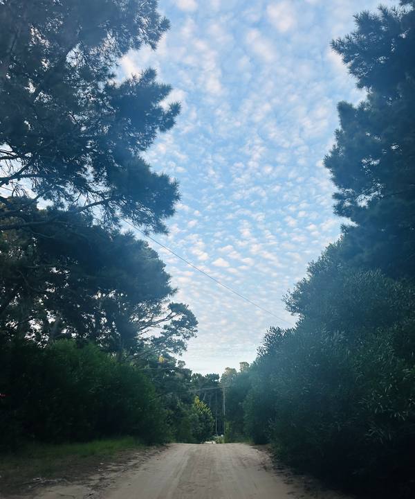 El camino de entrada